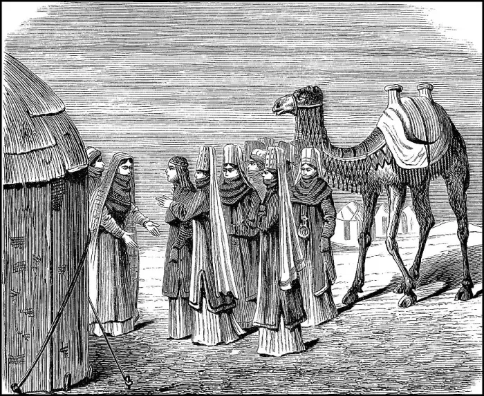 Framed Print : Turkmen Wedding, Turkmenistan, Group of woman with camel picking up the bride