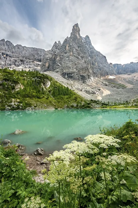 Framed Print : Turquoise-green Sorapis lake with flowers