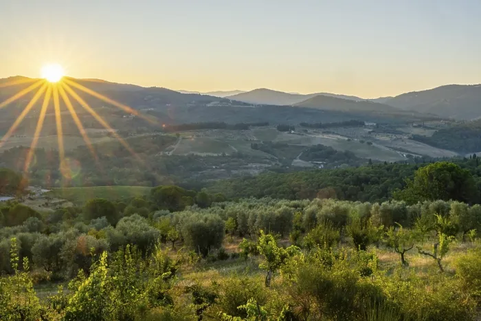 Framed Print : Tuscan landscape at sunrise, country estate with vineyards