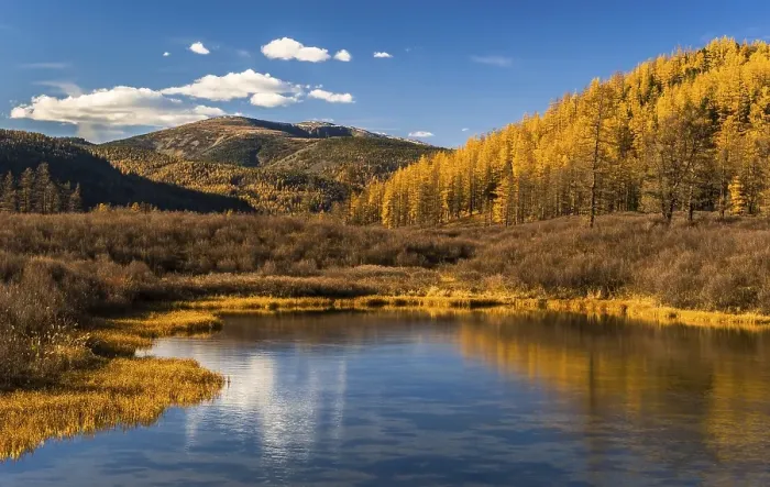 Framed Print : Tuul river with landscape in autumn colors and Burkhan Khaldun Mountain