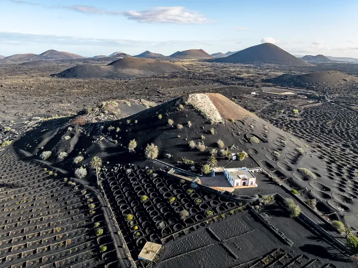 Framed Print : Typical drywall viticulture in volcanic landscape