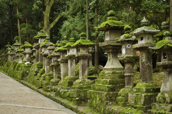 Framed Print : Typical japanese stone lanterns in Nara