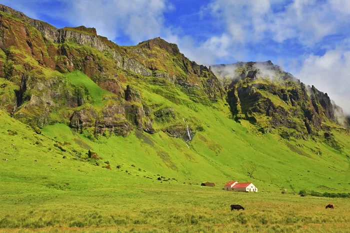Framed Print : Typical landscape for the summer in Iceland Framed Print : Typical landscape for the summer in Iceland
