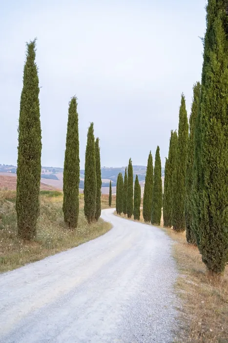 Framed Print : Typical Tuscan landscape in Crete Senesi with hills