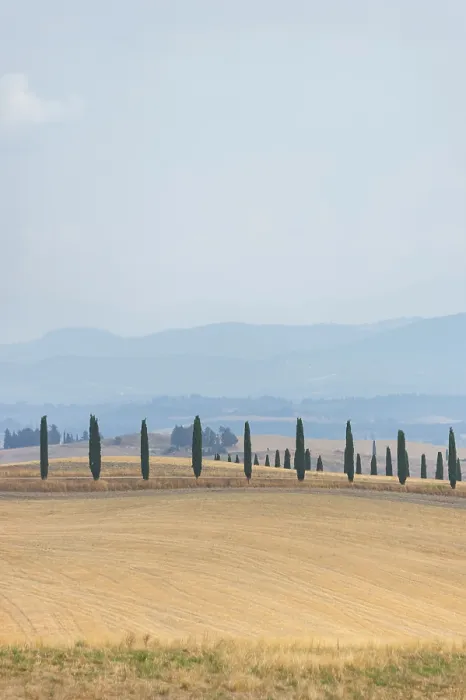 Framed Print : Typical Tuscan landscape in Crete Senesi with hills