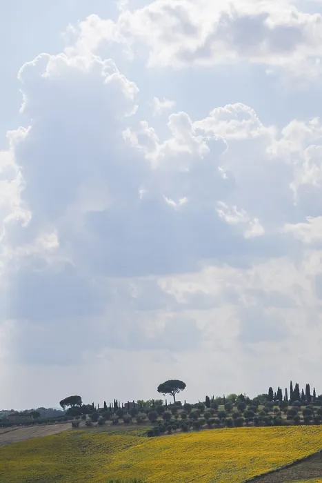 Framed Print : Typical Tuscan landscape in Val d'Orcia with hills