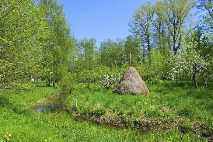 Framed Print : Typische Landschaft im Spreewald im Fruhling
