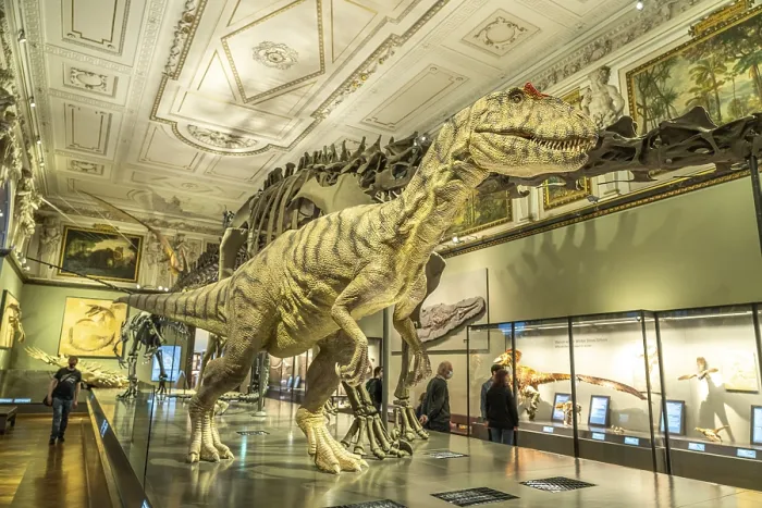 Framed Print : Tyrannosaurus rex in the dinosaur hall of the Natural History Museum Vienna