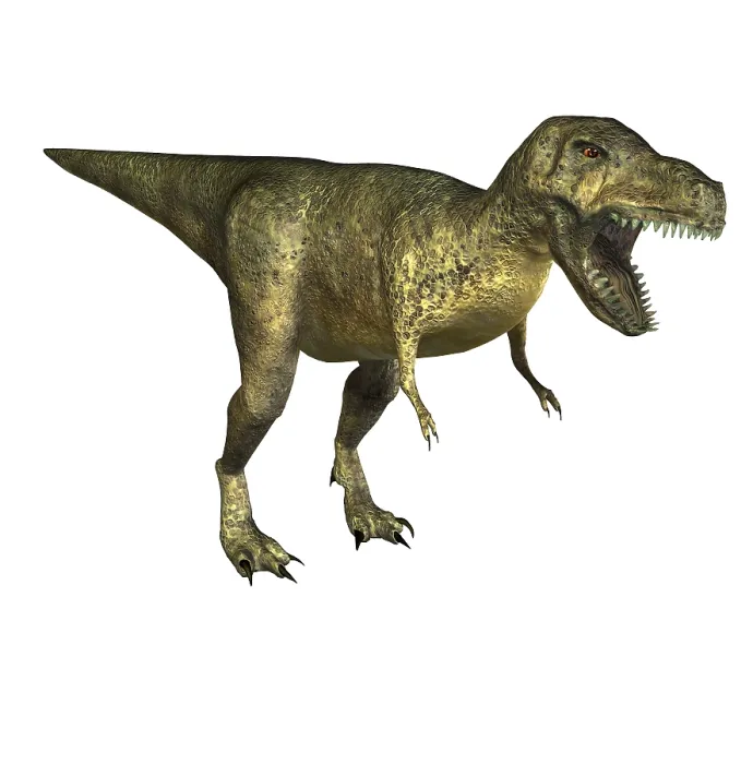 Framed Print : The Tyrannosaurus rex has its name of king of the Tyrannenechsen