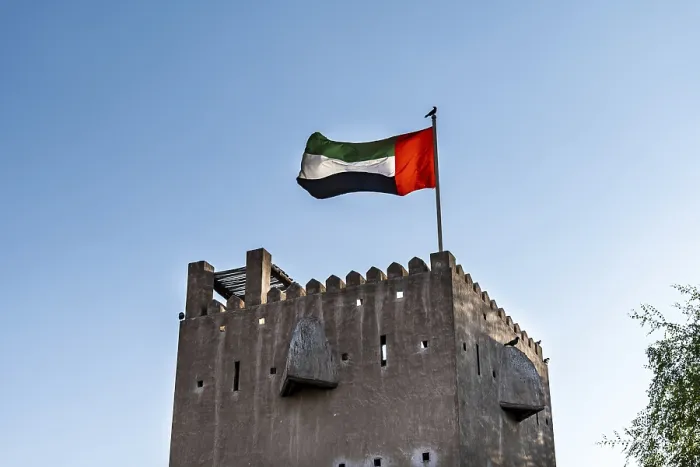 Framed Print : UAE flag in Dubai, national flag of United Arab Emirates Framed Print : UAE flag in Dubai, national flag of United Arab Emirates