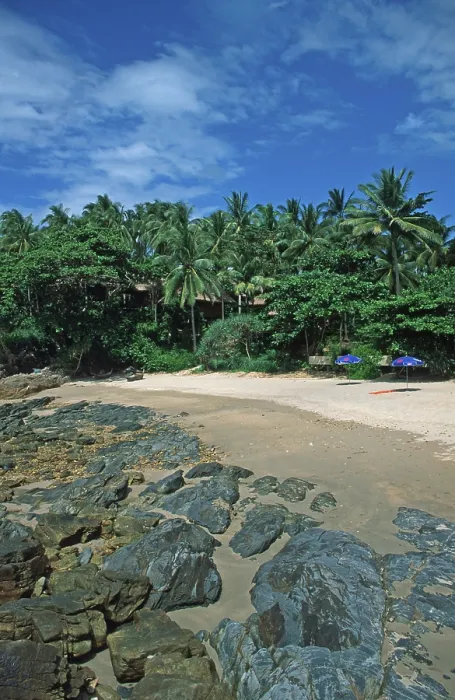 Framed Print : Umbrellas, palm beach at The Narima Resort on the island of Ko Lanta