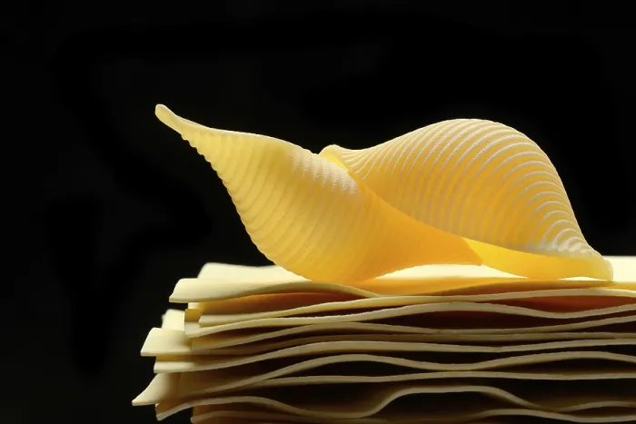 Framed Print : Uncooked lasagna leaves and mussel noodles Framed Print : Uncooked lasagna leaves and mussel noodles