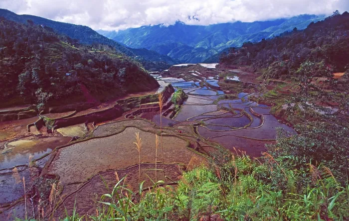 Framed Print : Unesco World Heritage: The Rice Terraces of Banaue on Luzon Island in the Philippines