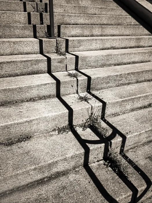 Framed Print : Uneven concrete steps in an urban area expose cracks filled with weeds growing in the crevices
