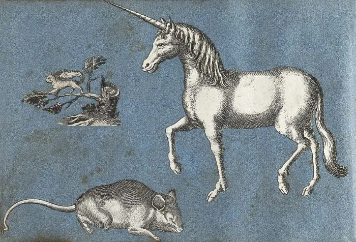 Framed Print : A unicorn, a squirrel and a mouse Framed Print : A unicorn, a squirrel and a mouse