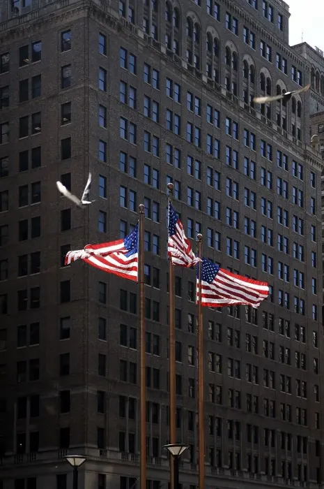 Framed Print : United States of America flags Framed Print : United States of America flags