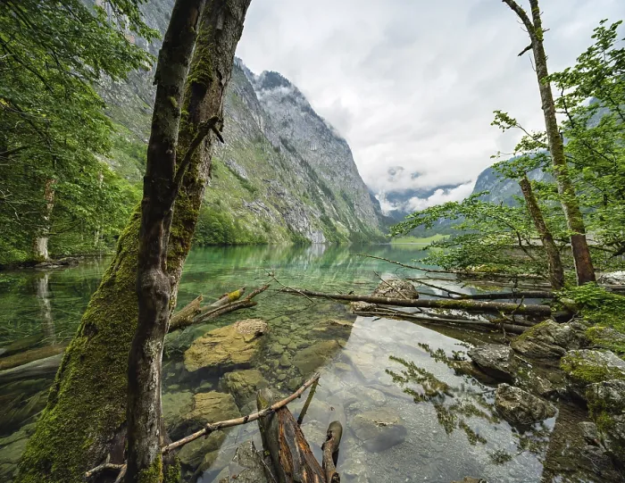 Framed Print : Untouched nature on the shore of the Obersee