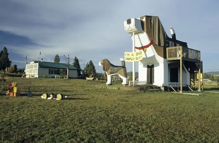 Framed Print : Unusual Bed & Breakfast at Dog Bark Park