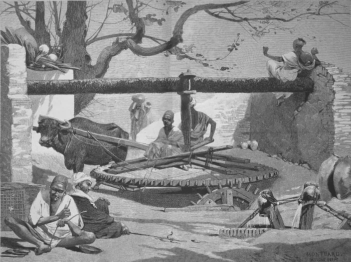 Framed Print : Well in Upper Egypt, the water is drawn with the help of an ox