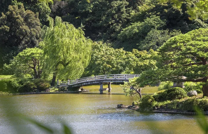 Framed Print : Upper Pond's wooden bridge and the pine Framed Print : Upper Pond's wooden bridge and the pine