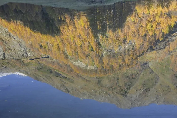Framed Print : Upside down mountain and autumn trees reflected on a lake's surface creating a surreal effect Framed Print : Upside down mountain and autumn trees reflected on a lake's surface creating a surreal effect