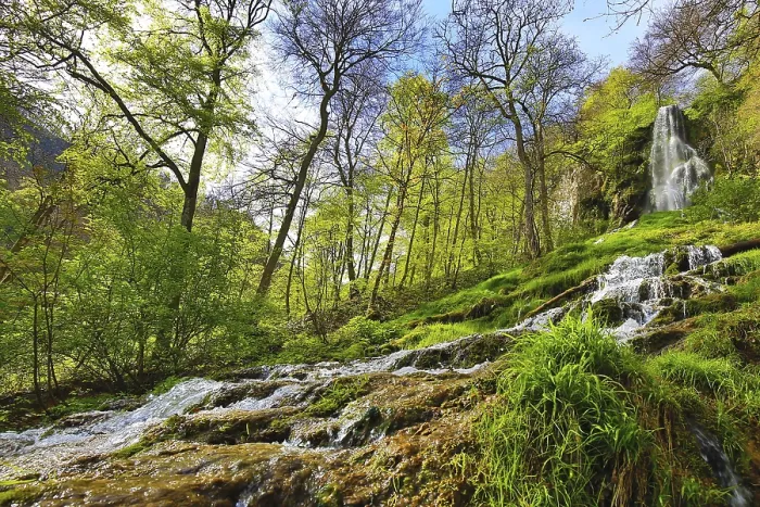 Framed Print : Urach waterfall with flowing water over moss-covered rocks in a wooded area