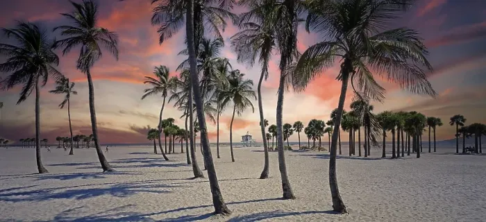 Framed Print : USA /  Florida - Miami, beach at Crandon Park, palm trees