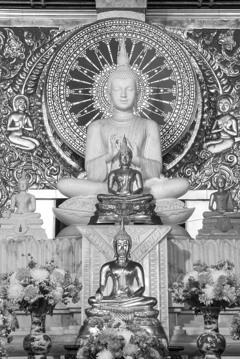 Framed Print : Various Buddha statues, Bhumispara mudra