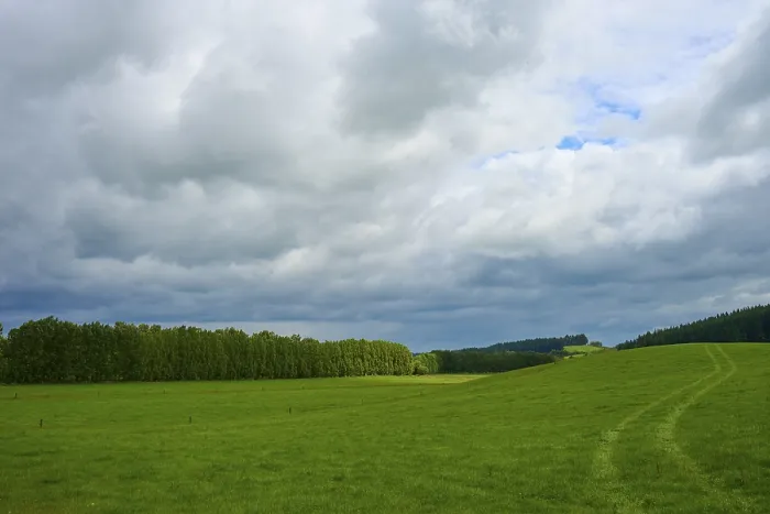 Framed Print : Vast green landscape with dense trees on the horizon under a cloudy sky Framed Print : Vast green landscape with dense trees on the horizon under a cloudy sky
