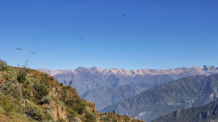 Framed Print : A vast mountain landscape with condors flying high in the blue sky Framed Print : A vast mountain landscape with condors flying high in the blue sky