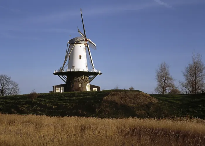 Framed Print : Veere, windmill