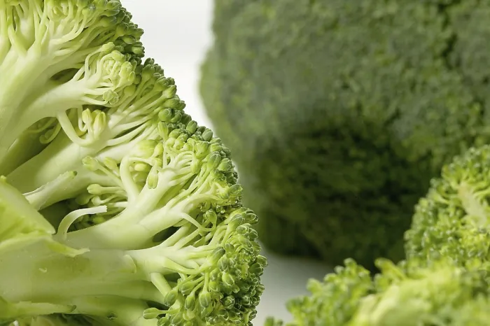 Framed Print : Vegetable, Broccoli on white background