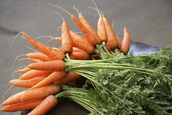 Framed Print : Vegetable, garden fresh Carrots with green leafs kept for selling on the way to Munnar