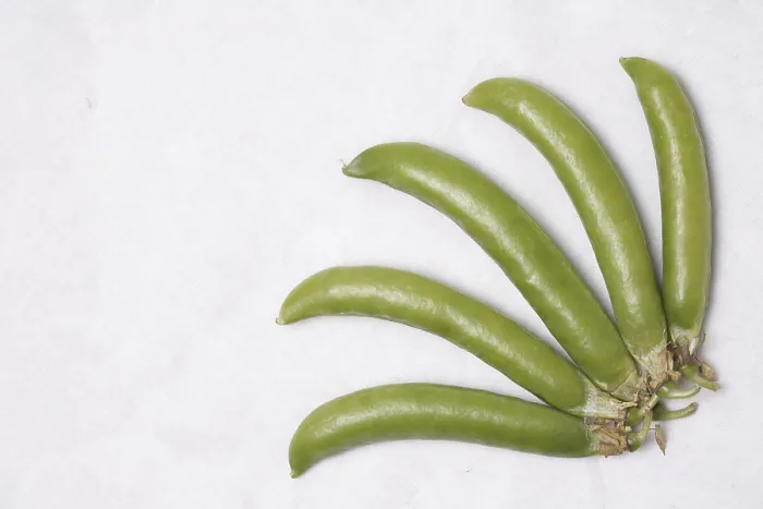 Framed Print : Vegetable, Green Pea pods Pisum sativum arranged at right side bottom of white background