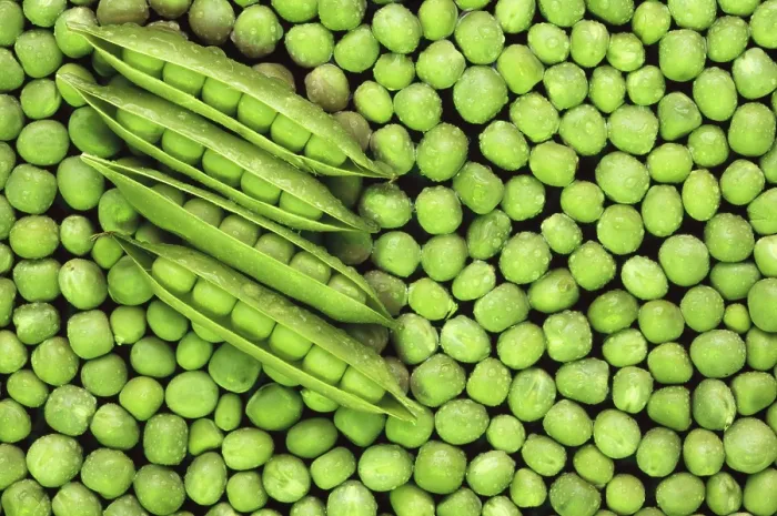 Framed Print : Vegetable, green peas, india