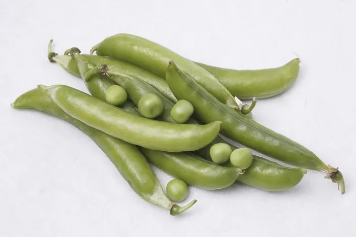 Framed Print : Vegetable, Green Peas pod Pisum sativum with unpeel peas on white background