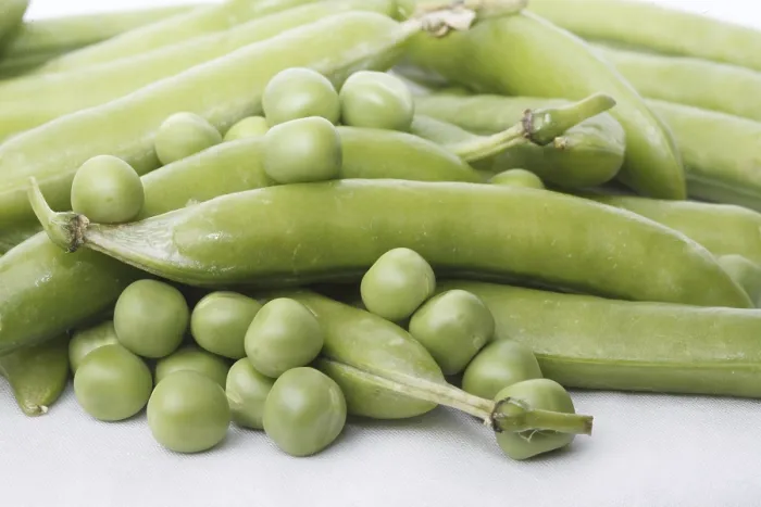 Framed Print : Vegetable, Green Peas pod Pisum sativum with unpeel peas on white background