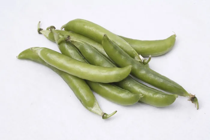 Framed Print : Vegetable, Green Peas pod Pisum sativum on white background Framed Print : Vegetable, Green Peas pod Pisum sativum on white background
