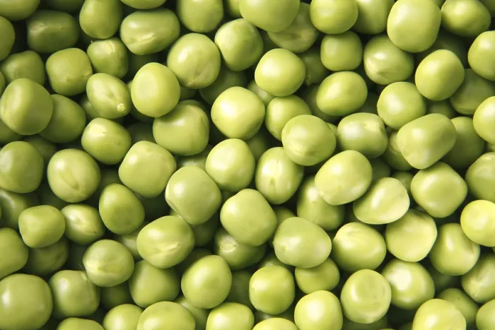 Framed Print : Vegetable, pile of peeled green Peas