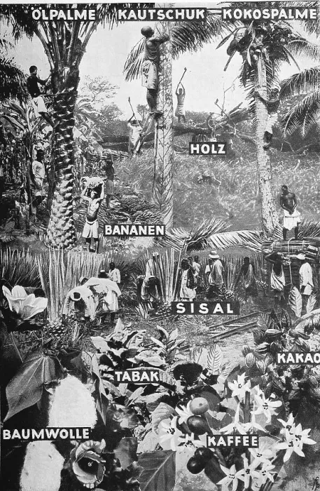 Framed Print : The vegetable raw materials of the German colonies Framed Print : The vegetable raw materials of the German colonies