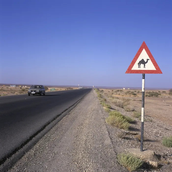 Framed Print : Verkerhsschild, Beware Camel, Jordan
