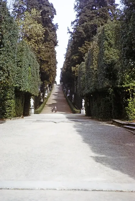 Framed Print : Viale dei Cipressi, Cypress Avenue, Viottolone Boulevard, Boboli Gardens, Florence, Tuscany, Italy 1957 Framed Print : Viale dei Cipressi, Cypress Avenue, Viottolone Boulevard, Boboli Gardens, Florence, Tuscany, Italy 1957