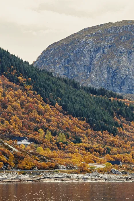 Framed Print : Vibrant autumn trees covering forested mountain slopes with a house