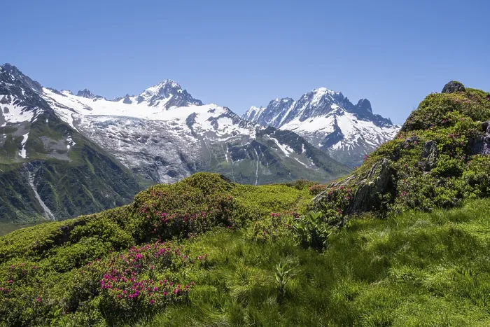Framed Print : View from Aiguillette de Poisettes Framed Print : View from Aiguillette de Poisettes