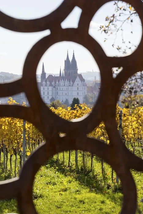 Framed Print : View of Albrechtsburg Castle with cathedral through the stele at the most beautiful wine view in Saxony Framed Print : View of Albrechtsburg Castle with cathedral through the stele at the most beautiful wine view in Saxony