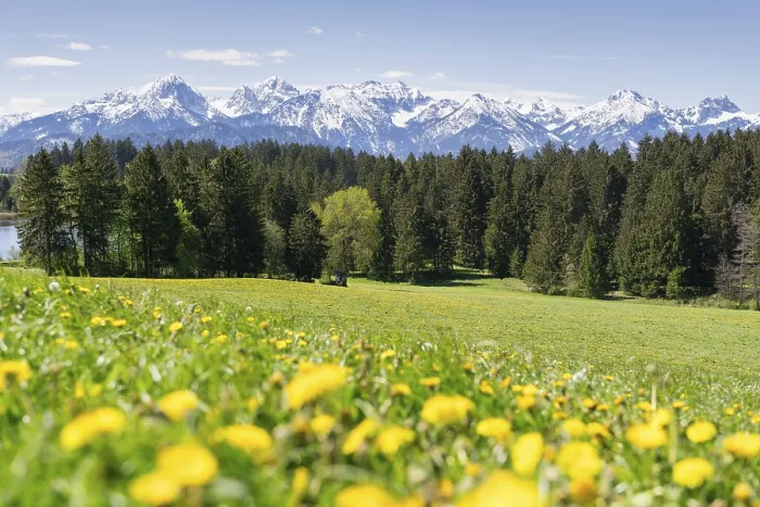 Framed Print : View of the Allgaeu Alps, Hegratsrieder See