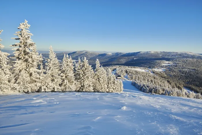 Framed Print : View from Arber on hilly landscape with spruce forest (Picea abies) in winter