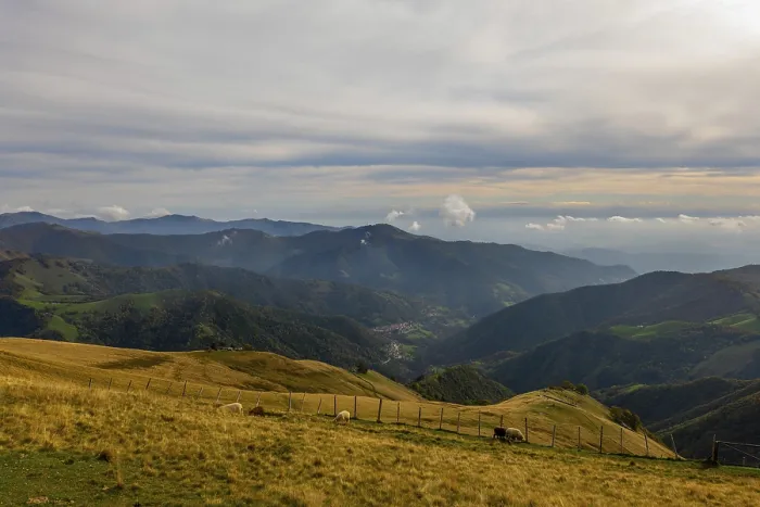 Framed Print : View over Beautiful Mountainscape with Clouds and Sheep in a Sunny Day in Valley Muggio in Ticino