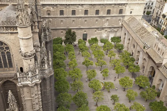 Framed Print : View from the bell tower into the orange tree courtyard of the Cathedral of Santa Maria de la Sede and over the city