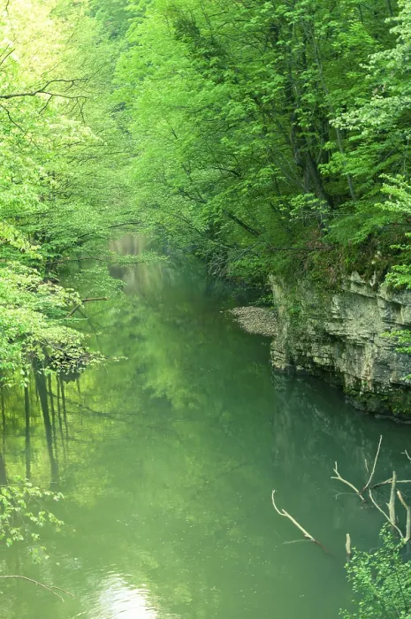 Framed Print : A view of the Bigar river, natural reserve in the Anina mountains Framed Print : A view of the Bigar river, natural reserve in the Anina mountains